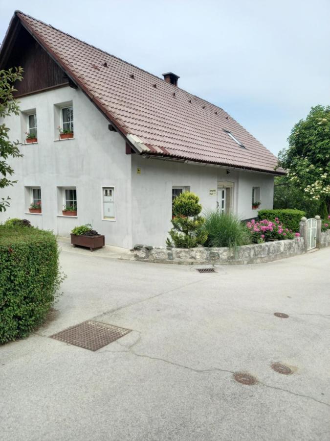 Apartament Apartmaji Magda Zgornje Gorje Zewnętrze zdjęcie